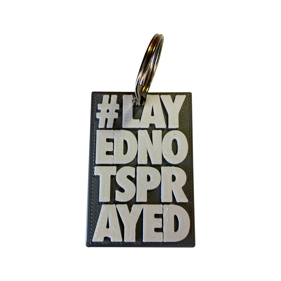 #LayedNotSprayed Keychain - Paint is Dead Merchandise